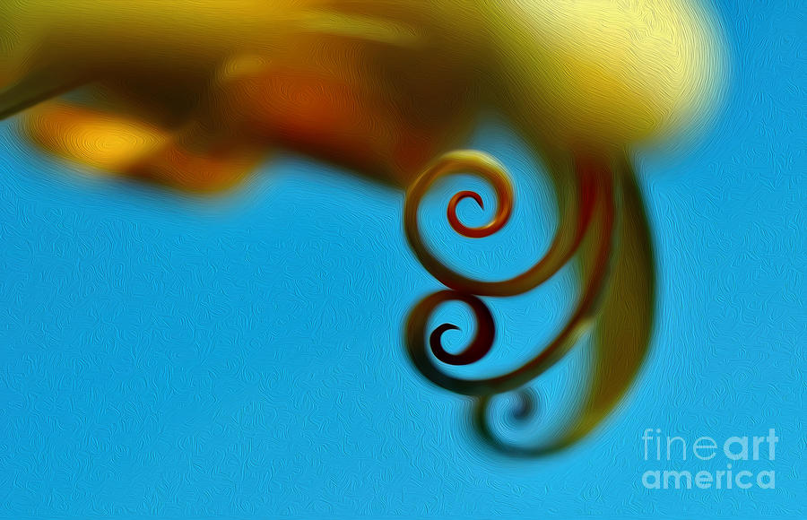Daisy Photograph - Curlz Abstract by Kaye Menner