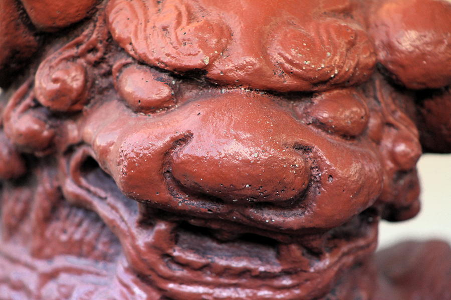 Currant Red Japanese Foo Dog Photograph