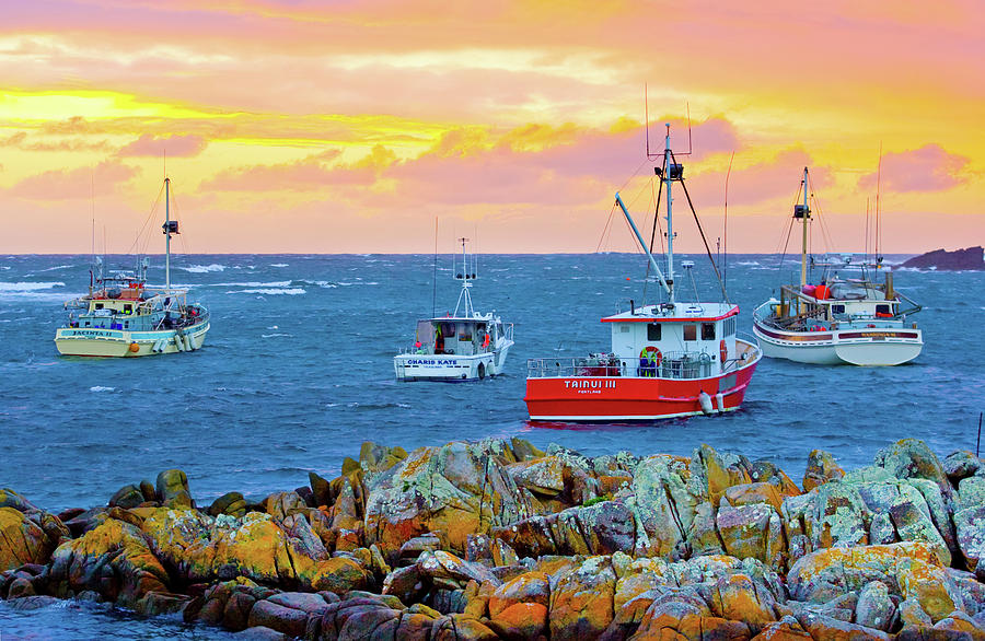 Currie Harbour Pastels Photograph by Sean Davey