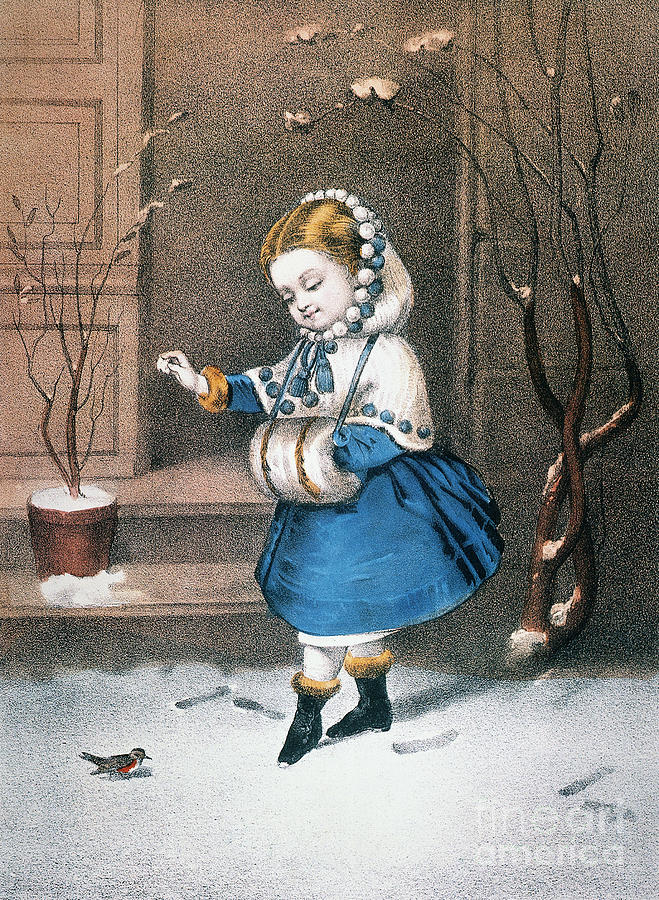 Little Snowbird Drawing by Currier and Ives