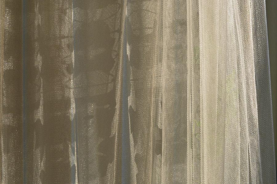 Curtains  Photograph by Lyle Crump