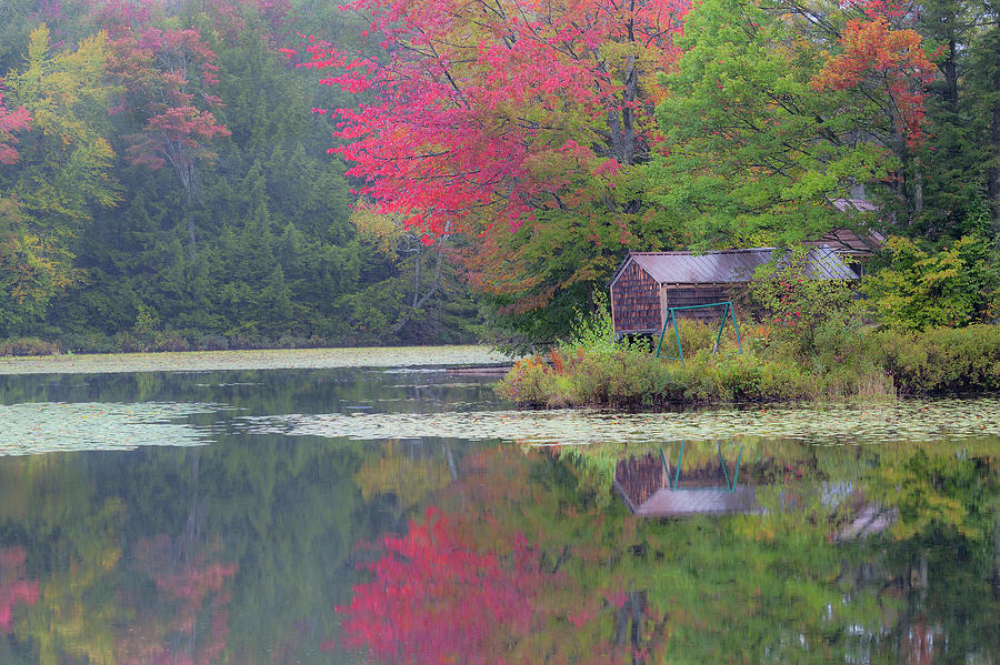 Fall Photograph - Curtis Pond Misty Autumn by Alan L Graham