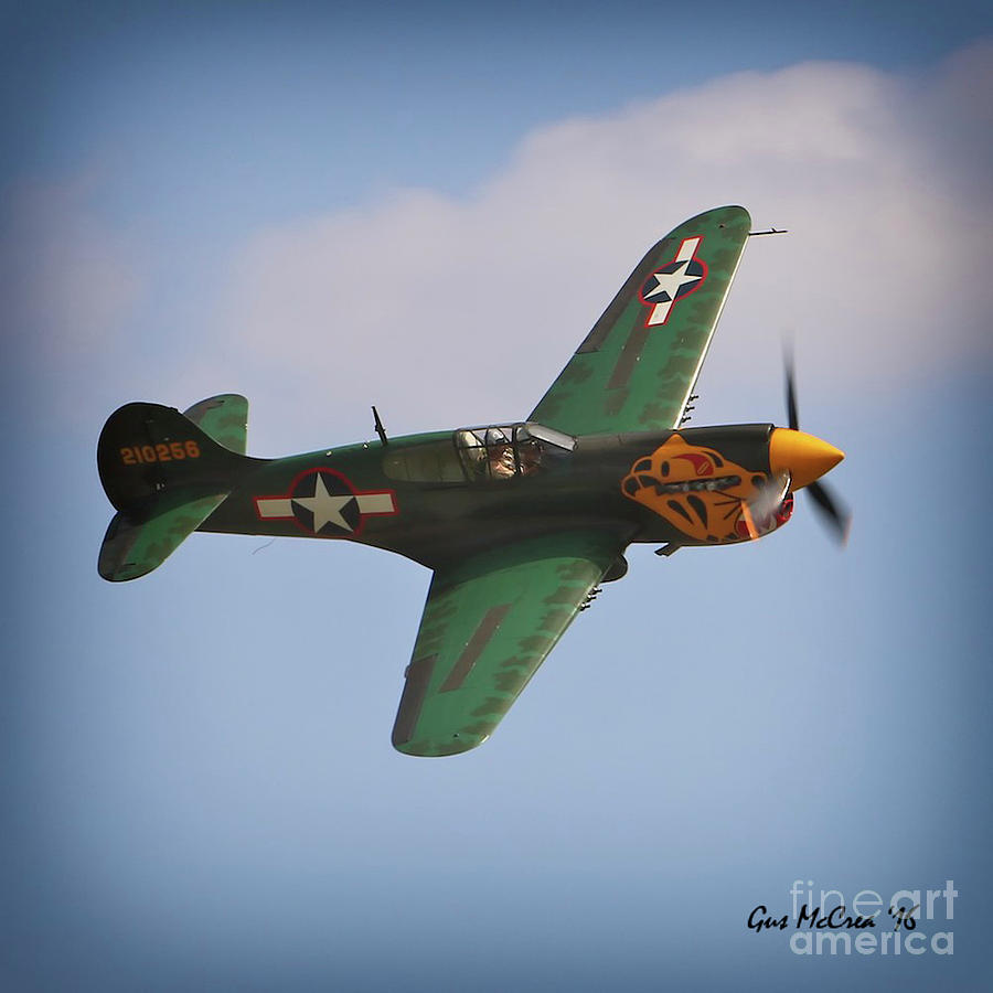 Airplane Photograph - Curtiss P-40 Warhawk Aleutians  2016 Planes of Fame by Gus McCrea