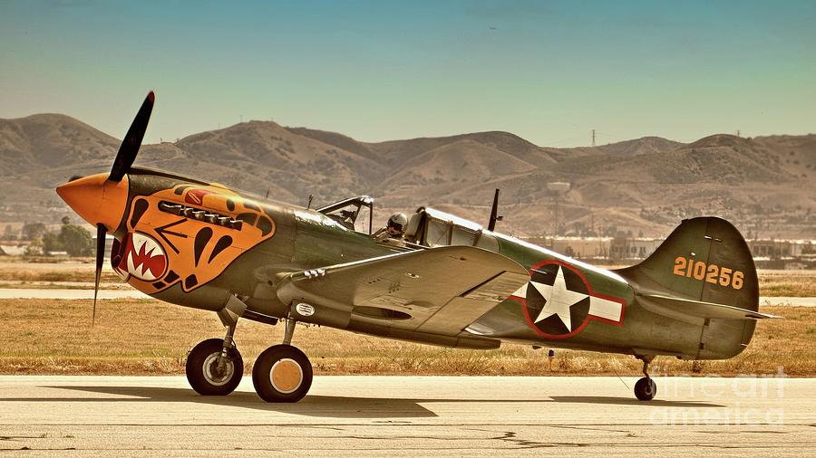 Curtiss-Wright P-40 Warhawk Aleutians Photograph by Gus McCrea