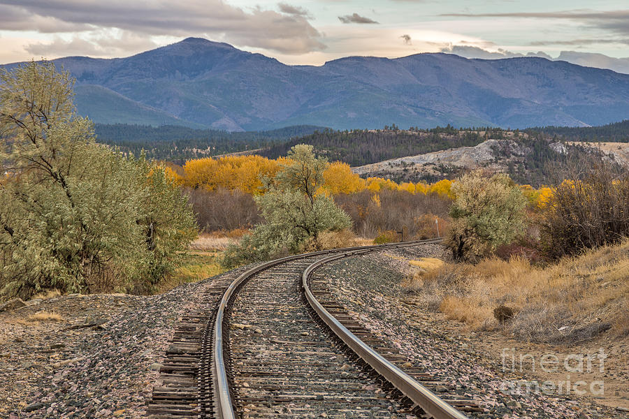 Curve in the Tracks in Autumn Photograph by Sue Smith