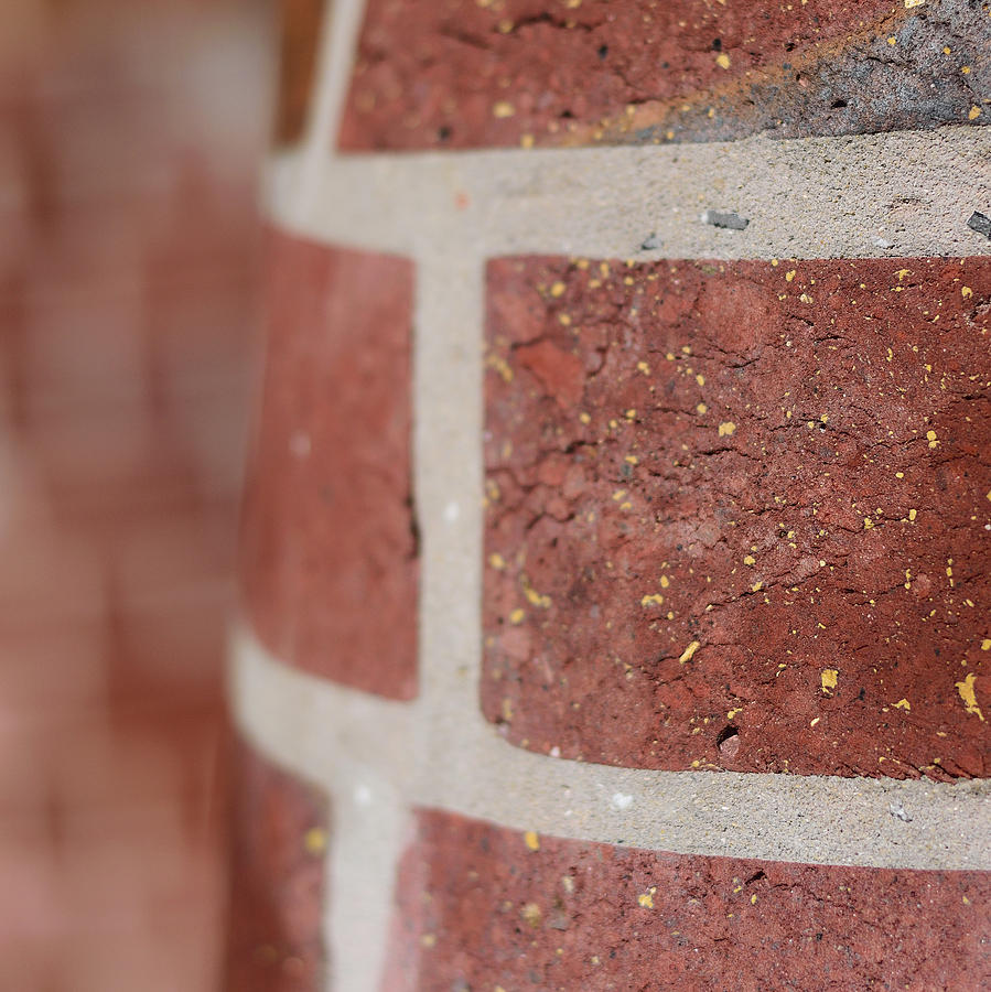 Curved Brick Wall Photograph