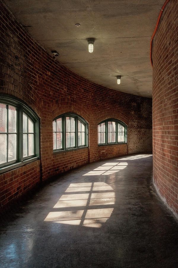 Curved Bricks And Windows          Photograph by Tom Singleton