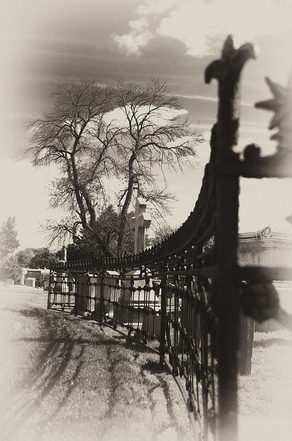 Curved Gate Photograph by Scott Wyatt