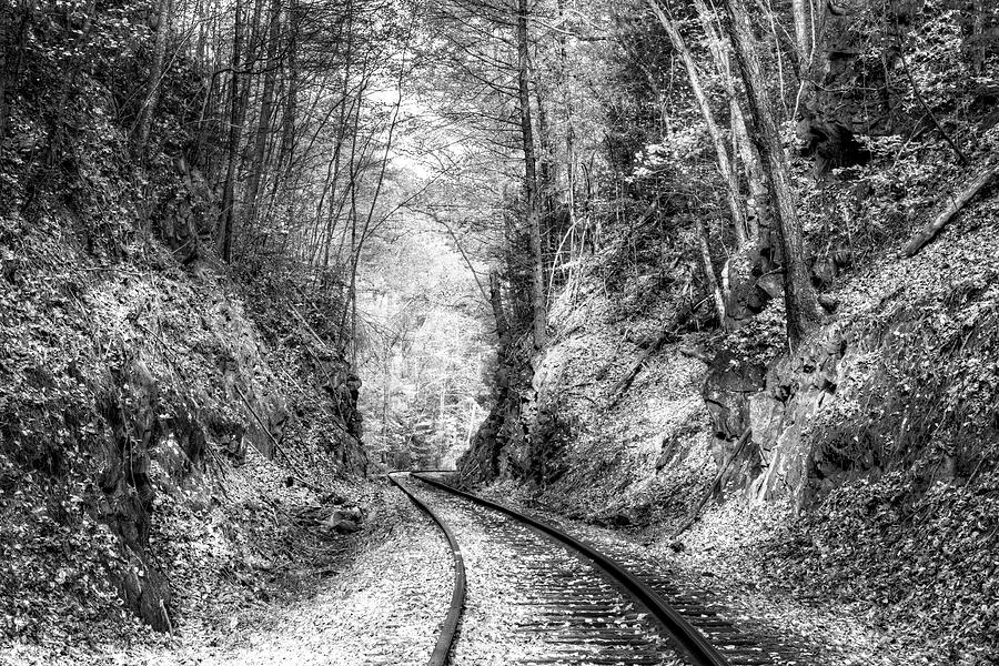 Curves Ahead Black and White Photograph by Debra and Dave Vanderlaan