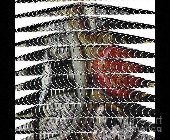 Curves and Triangles Digital Art by Angela L Walker