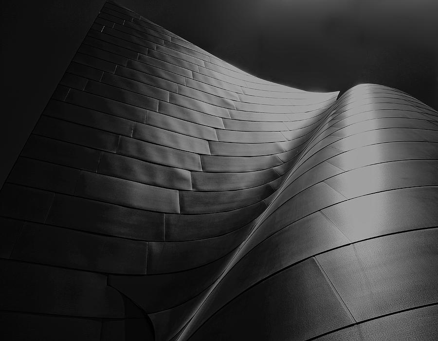 Curves Frank Gehry AIA Photograph by Chuck Kuhn