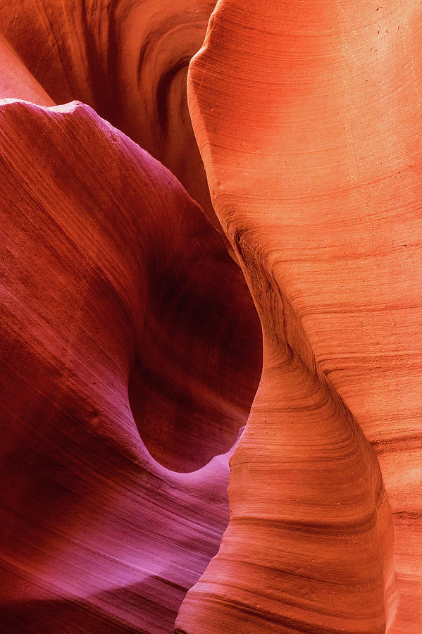 Curves in the Canyon Photograph by Alex Mironyuk