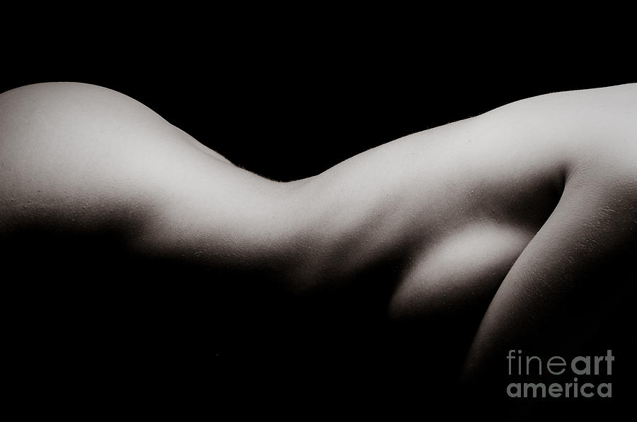 Nude Photograph - Curves by Jt PhotoDesign
