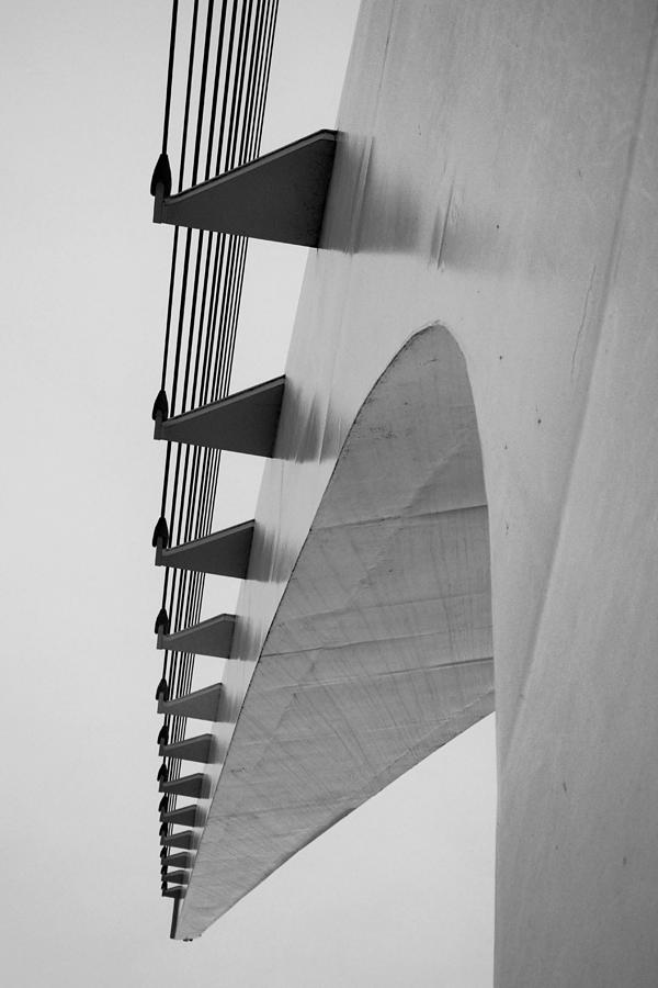 Curves Photograph by Marnie Patchett