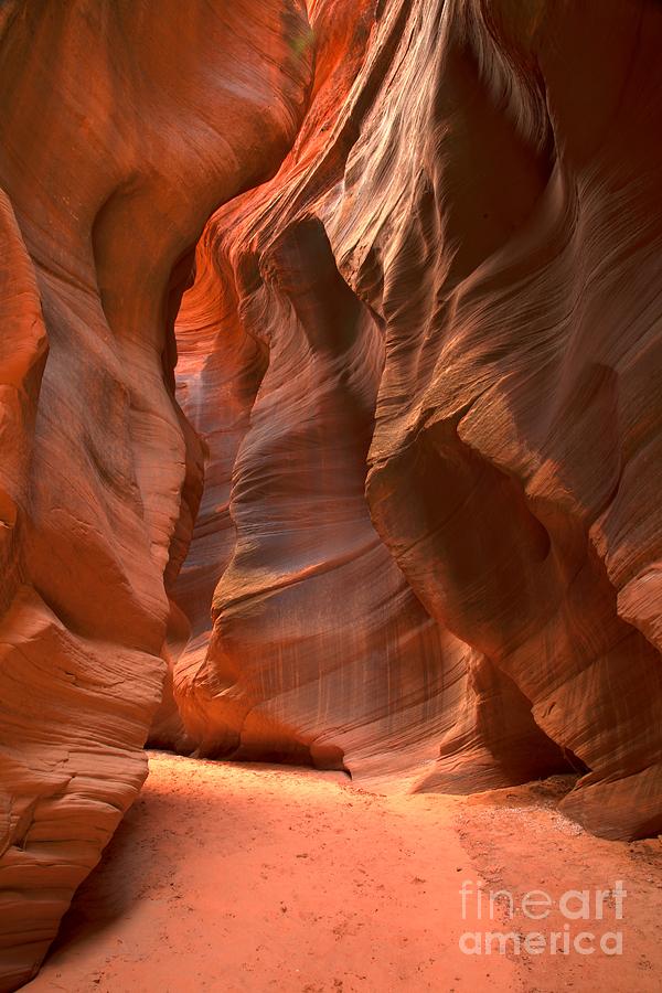 Curves Under The Desert Floor Photograph by Adam Jewell