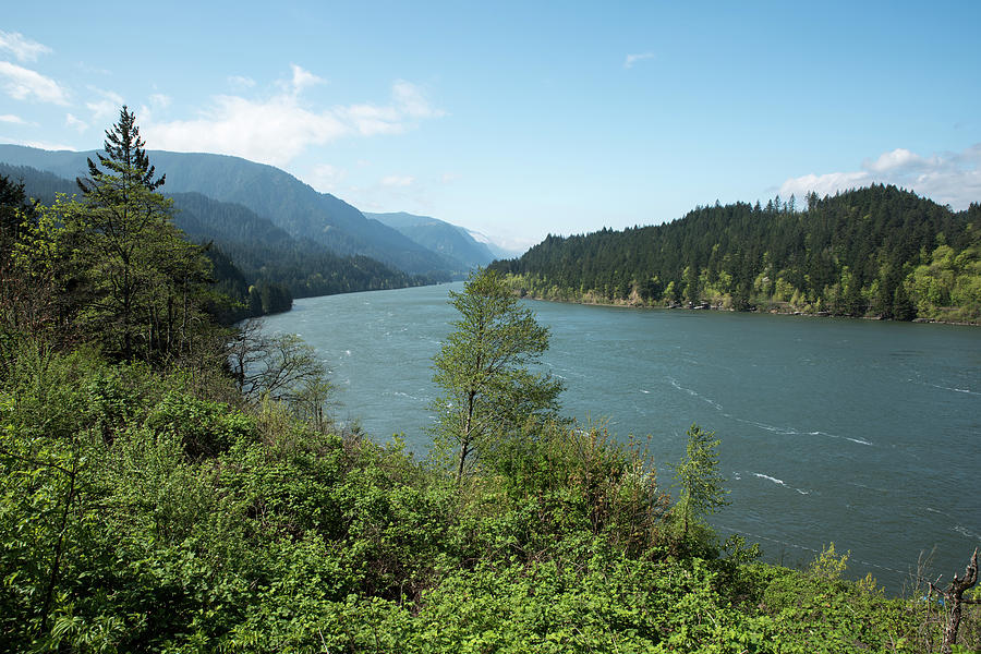Curving Columbia River Photograph by Tom Cochran