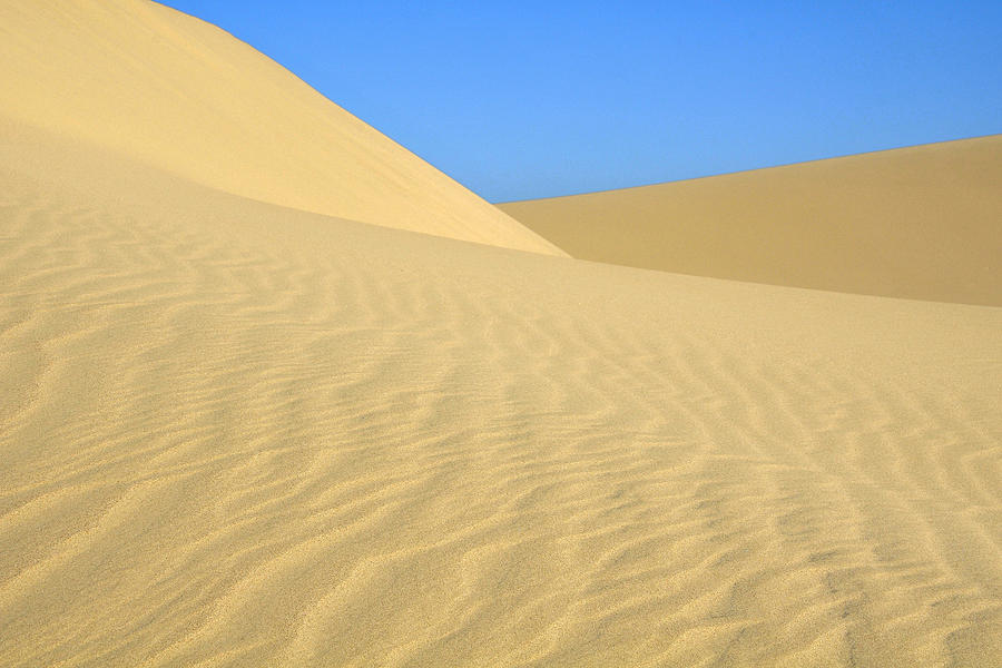 Curving Dunes Photograph by Lara Ellis