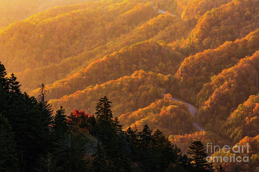 Smoky Mountain Roads Photograph by Doug Sturgess