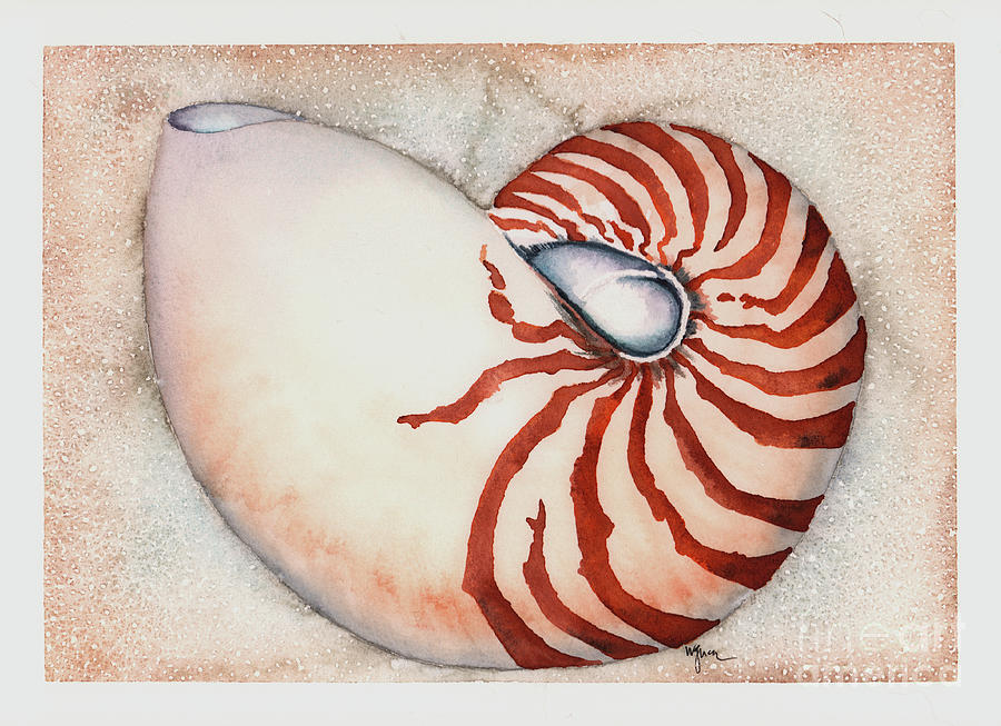 Curving Nautilus Painting by Hilda Wagner
