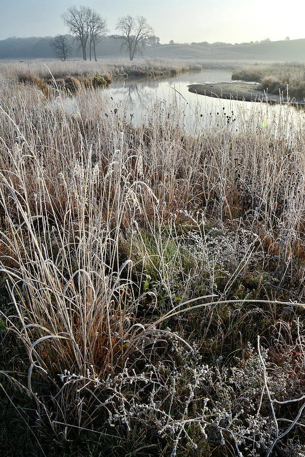 Curving Nippersink Creek in Glacial Park on Frosty Morning Photograph by Ray Mathis