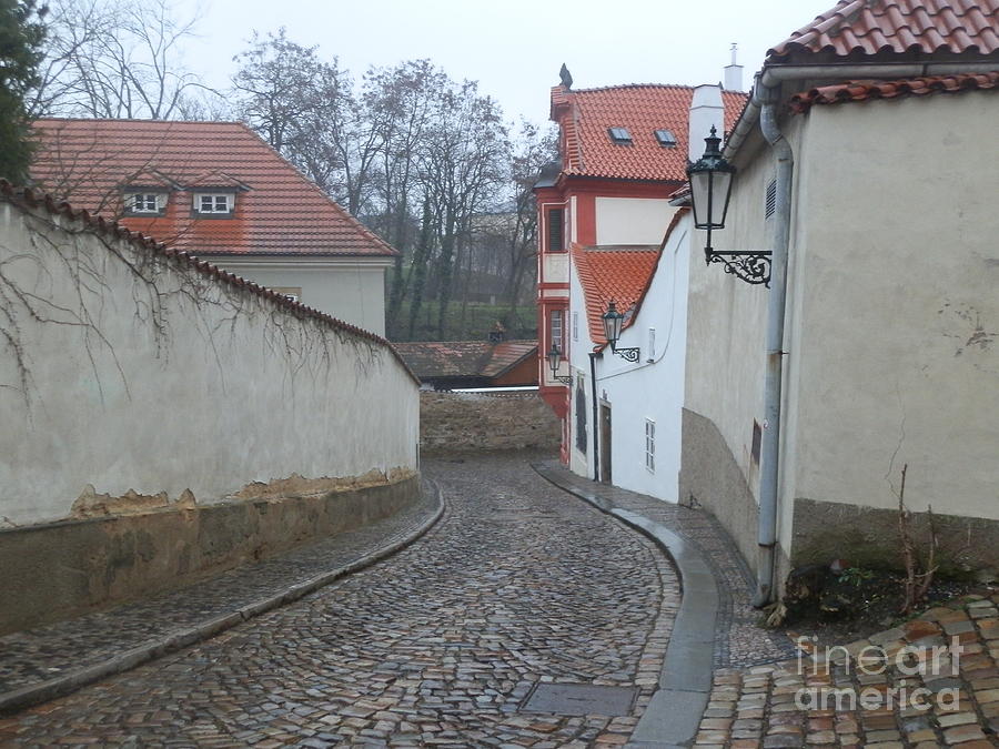 Curving road of Prague Photograph by Margaret Brooks