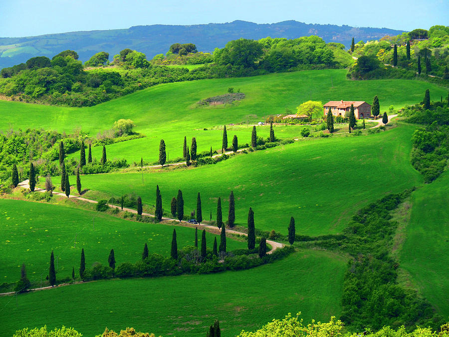 Curving Tuscan Road Photograph by Dennis Cox WorldViews