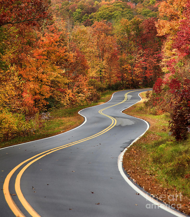Curvy Road in the Mountains Photograph by Jill Lang