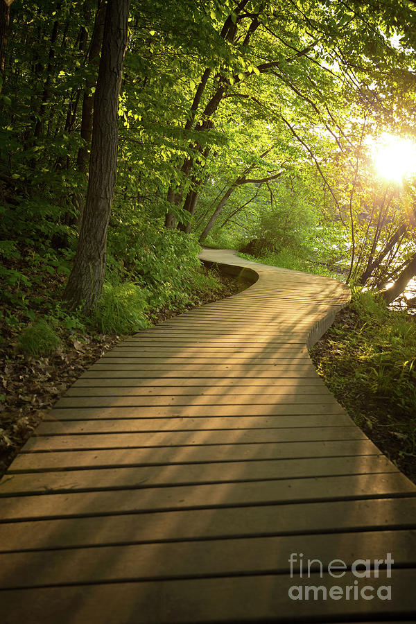 Curvy Summer Evening Photograph by Becqi Sherman Curvy Summer Evening Photograph by Becqi Sherman