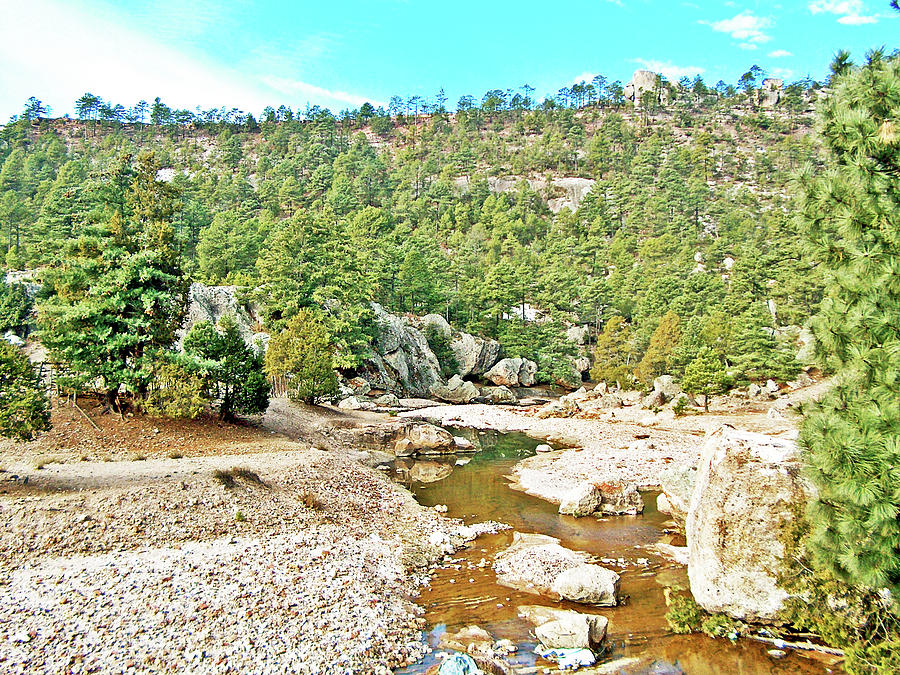 Cusarare Creek in Chihuahua, Mexico  Photograph by Ruth Hager