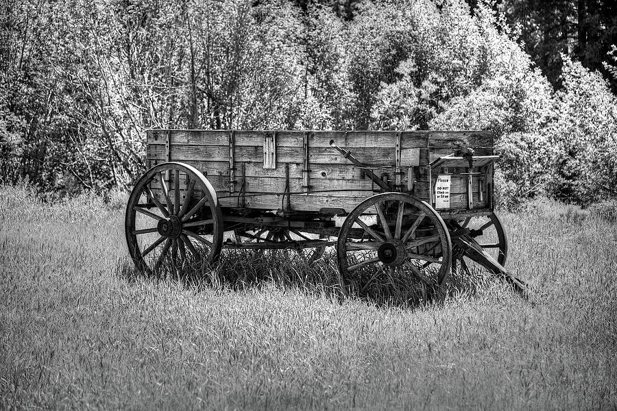 Custer wagon Photograph by Richard J Cassato