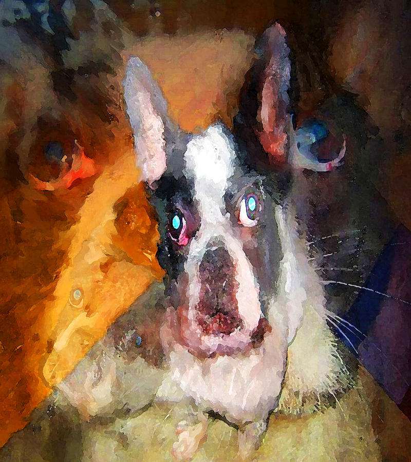Custom Dog Portraits Digital Art by Leah Devora