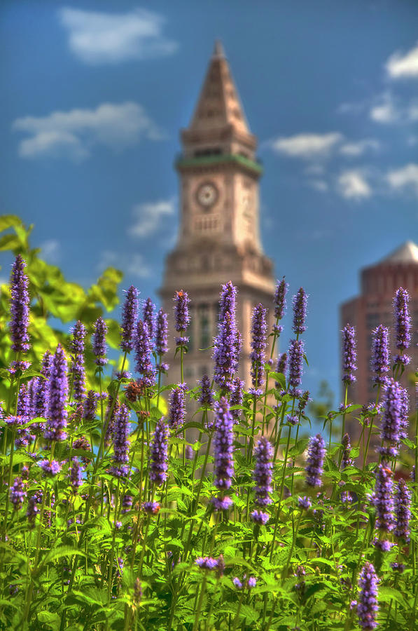 Custom House Clocktower from the Rose Kennedy Greenway - Boston Photograph by Joann Vitali