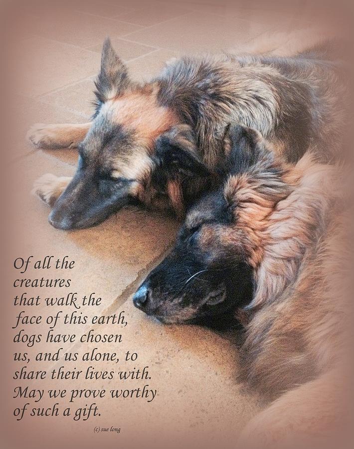 Inspirational Photograph - Custom Paw Print Fredo and Leyna by Sue Long