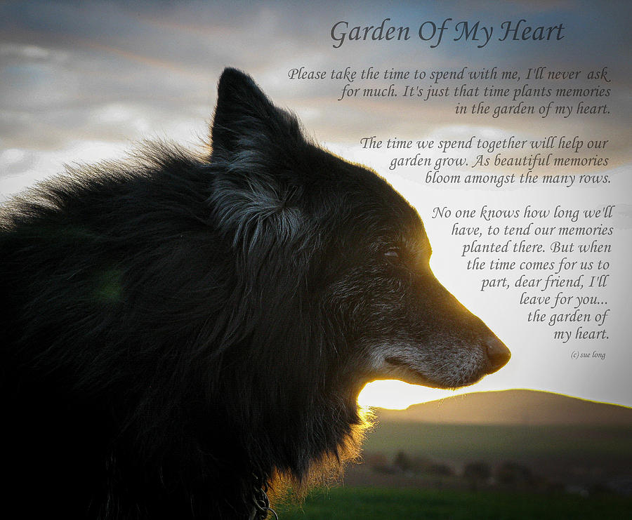 Inspirational Photograph - Custom Paw Print Garden Of My Heart by Sue Long