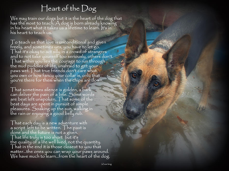 Inspirational Photograph - Custom Paw Print Maxx Heart of the Dog by Sue Long