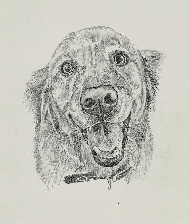 Custom Pet Drawing Drawing by Debbie Sampson