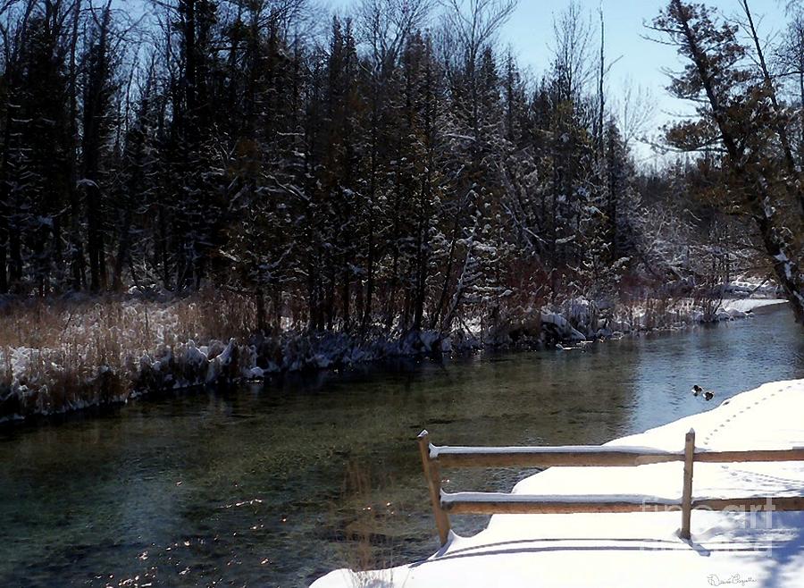 Cut River in Winter with Ducks Photograph by Desiree Paquette
