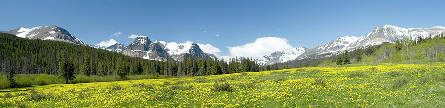 Cutbank Panorama Spring Glacier National Park Rocky Mountains Photograph by Larry Darnell