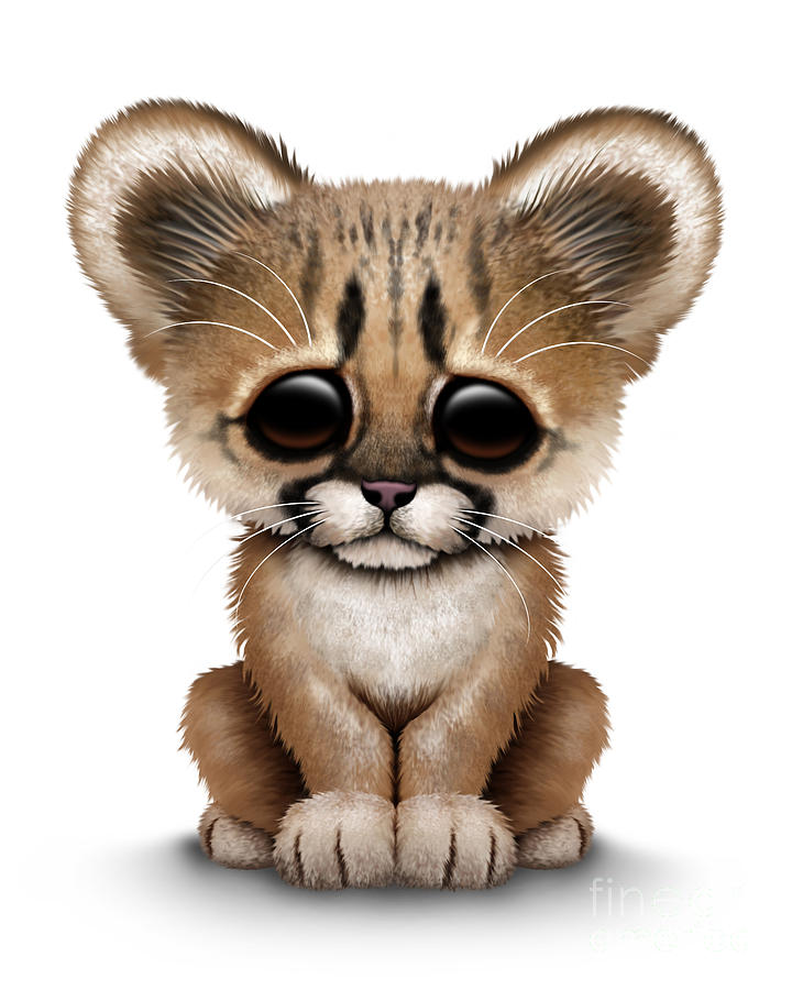 Cat Digital Art - Cute Baby Cougar Cub by Jeff Bartels
