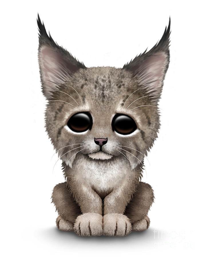 Cat Digital Art - Cute Baby Lynx Cub by Jeff Bartels