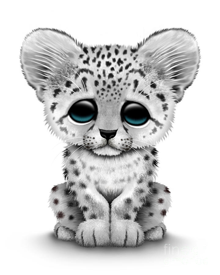 Cute Baby Snow Leopard Cub Digital Art by Jeff Bartels Fine Art America