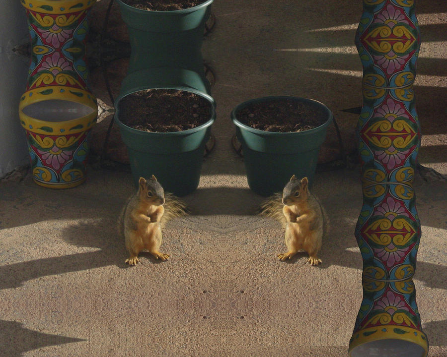 Cute Baby Squirrels on the Porch Digital Art by Julia L Wright