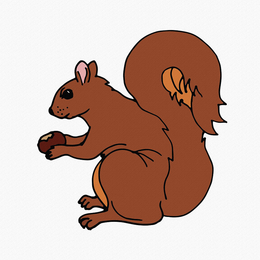 Cute Brown Squirrel  Digital Art by Irina Sztukowski