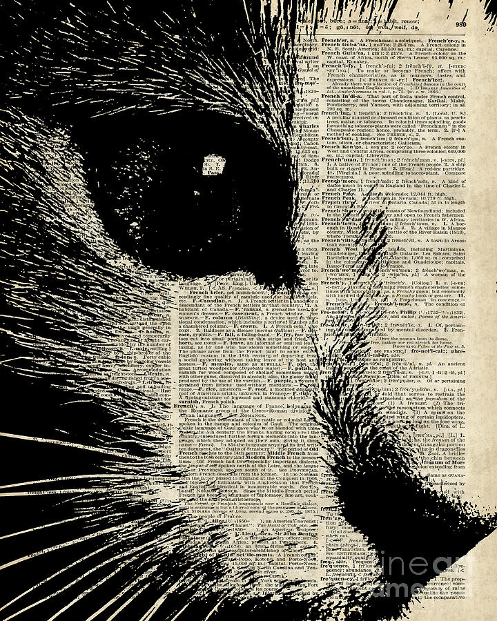 Vintage Digital Art - Cute Cat Illustration Over Old Dictionary Page by Anna W
