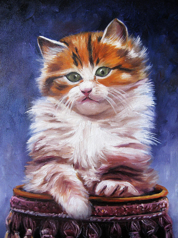 Cute Cat by Lili Ensaniat