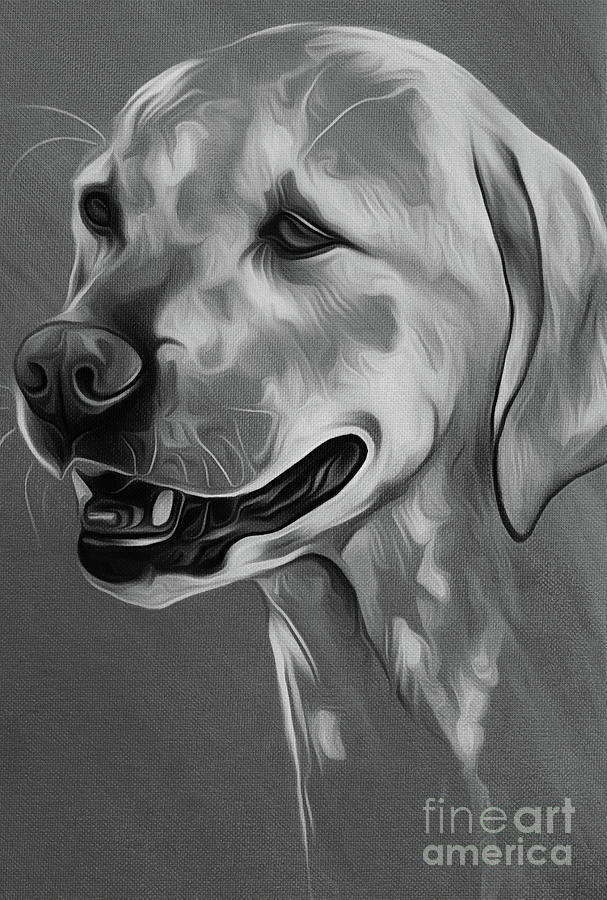Cute Dog 03 Painting by Gull G
