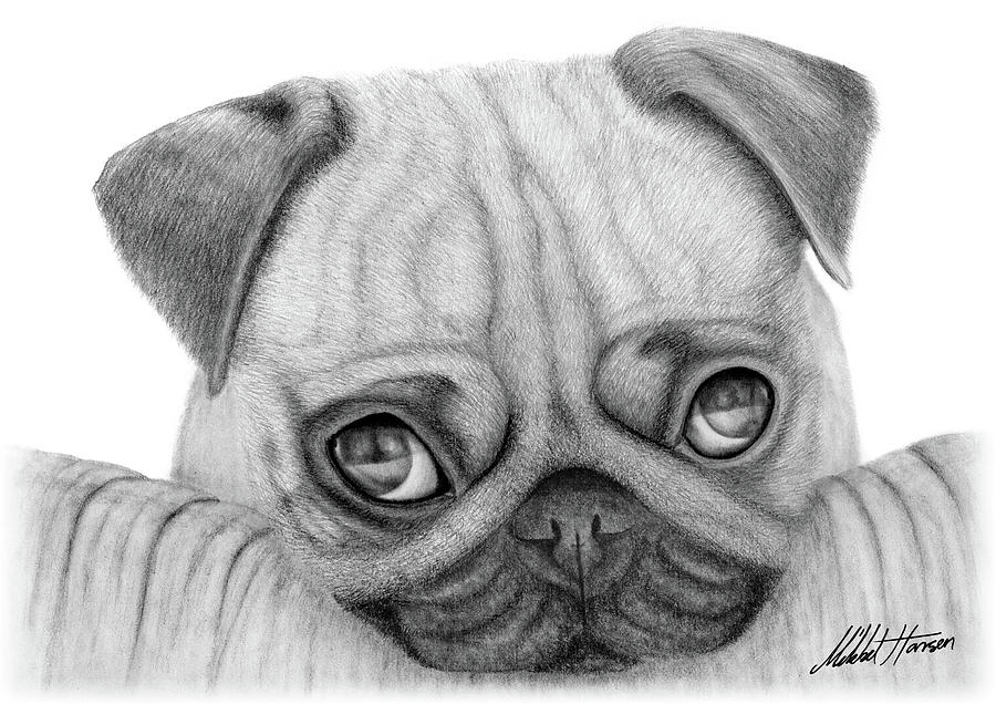 Cute Dog On A Blanket Drawing By Mikkel Hansen