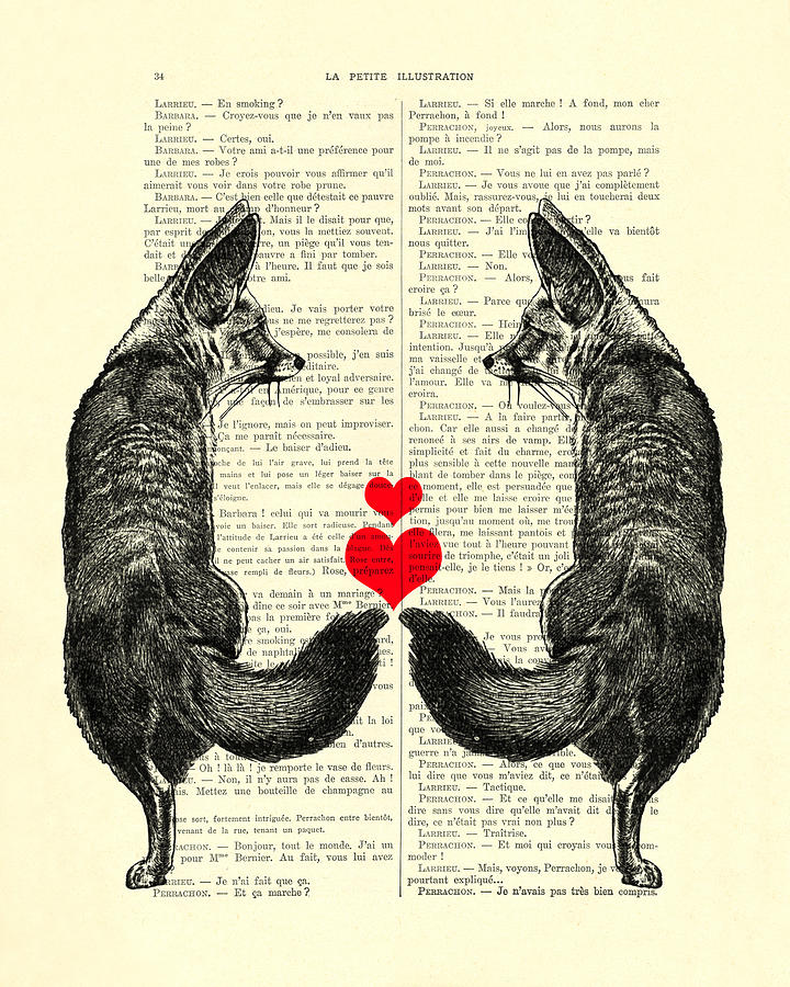 Fox Digital Art - Cute Foxes by Madame Memento