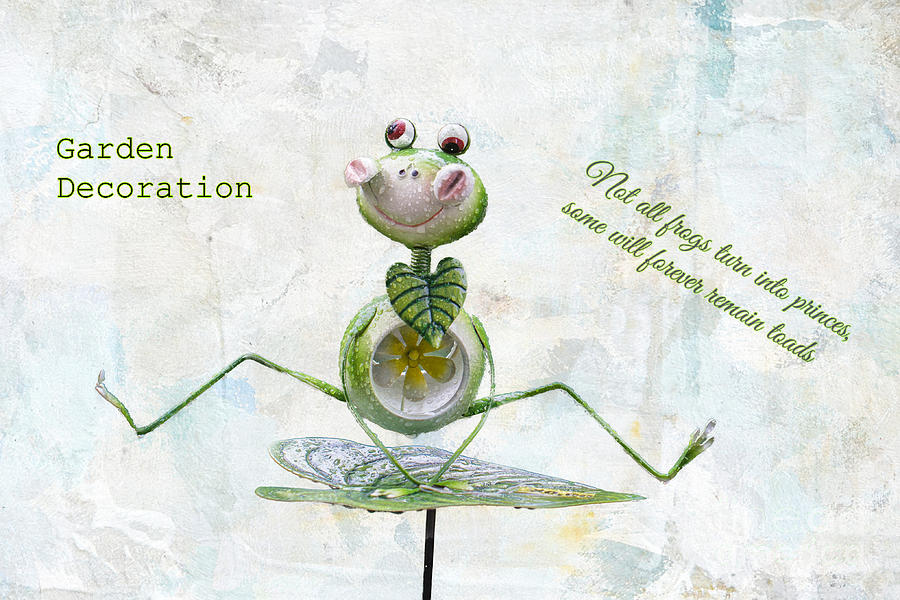 Frog Mixed Media - Cute Garden Decoration by Eva Lechner