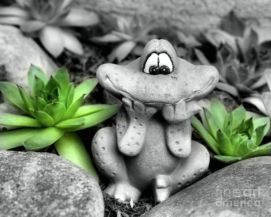 Cute Garden Frog And Succulents Photograph by Smilin Eyes Treasures